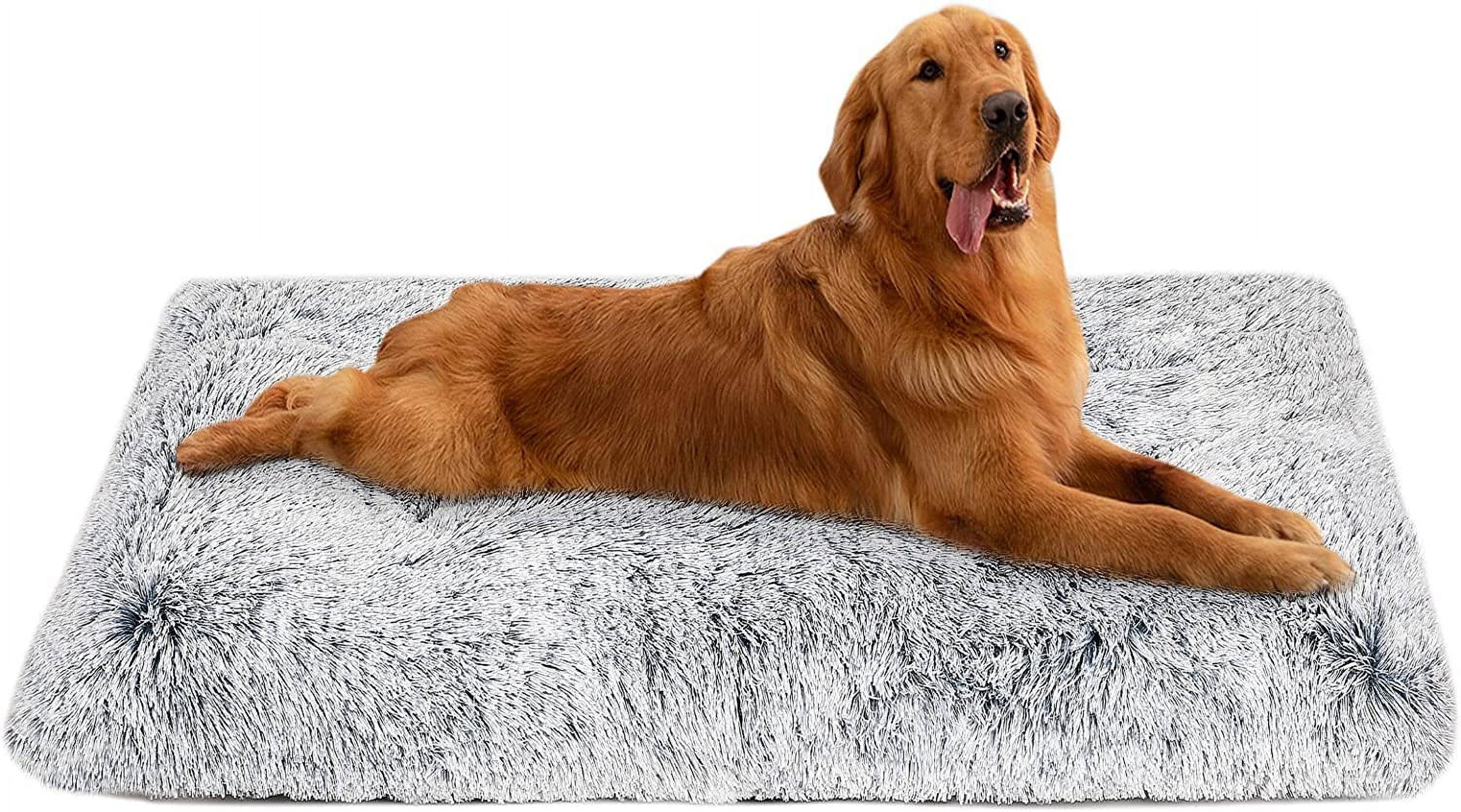 Which dog or cat would refuse a luxurious, comfortable, soft, and furry bed. Choose us, let's give your dog a truly comfortable and secure home.<br/>
Our pet mat is made of high-quality thick plush and PP cotton, Helps to relieve pet muscle pain， Never shedding or sticking hair, skin friendly and soft, filled with high-quality PP cotton with a thickness of nearly 5 inches, making the mat more breathable, soft and elastic, making it irresistible to dogs.<br/><br/>
The back material is made of Oxford cloth, which is wear-resistant and injection molded with anti slip particles, making it more thoughtful. No matter how the dog plays, the cushion will not move around, giving the dog a sense of security and making it easier for you to take care of your dog.<br/>
EASY CARE: The 6 keyhole fastening design helps keep the stuffing in place, so the dog bed is fully washable and holds its shape through multiple washes. Machine wash, gentle cycle, tumble dry low. Great as a dog bed, dog Pad,dog pillow, plush dog mat, cage pad, dog bed mat, or even a travel bed in your car or truck..and suitable for all seasons.<br/>
SIZES: dog crate pad measures 38 "L x 26" W x 4.5 "H and fits dogs up to 70 lbs. The pet bed arrives in a bag as a vacuum packed bed, just shake and pat it or let it inflate for about 24 hours..